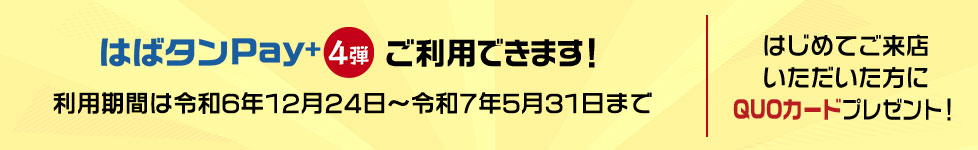 はばたんPAY