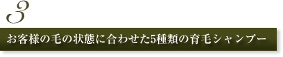 3.お客様の毛の状態に合わせた5種類の育毛シャンプー