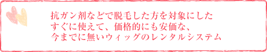 今までに無いウィッグのレンタルシステム